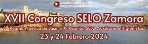 https://www.selo.org.es/congreso-selo-zamora-2024